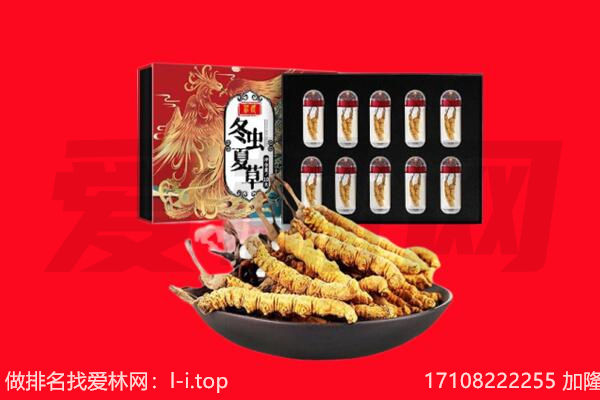 毕节市金沙回收虫草.jpg